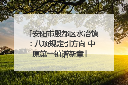 安阳市殷都区水冶镇：八项规定引方向 中原第一镇谱新章