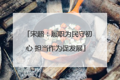 宋超：履职为民守初心 担当作为促发展
