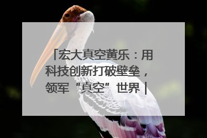 宏大真空黄乐：用科技创新打破壁垒，领军“真空”世界｜湘商，向上③