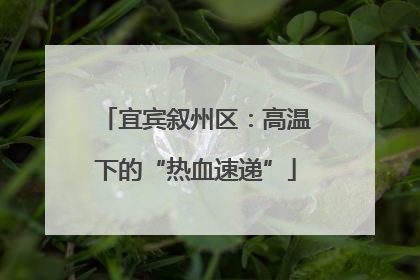 宜宾叙州区：高温下的“热血速递”