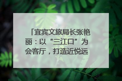 宜宾文旅局长张艳丽：以“三江口”为会客厅，打造近悦远来的国际旅游城市｜文旅局长说