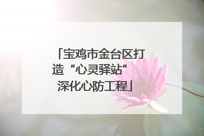 宝鸡市金台区打造“心灵驿站” 深化心防工程