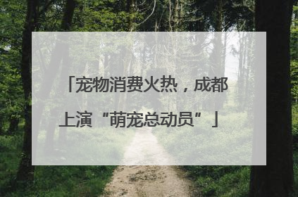 宠物消费火热，成都上演“萌宠总动员”