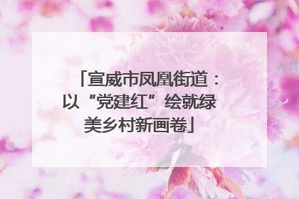 宣威市凤凰街道：以“党建红”绘就绿美乡村新画卷
