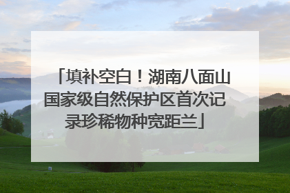 填补空白！湖南八面山国家级自然保护区首次记录珍稀物种宽距兰