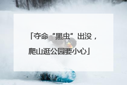 夺命“黑虫”出没，爬山逛公园要小心