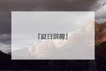 夏日赏荷