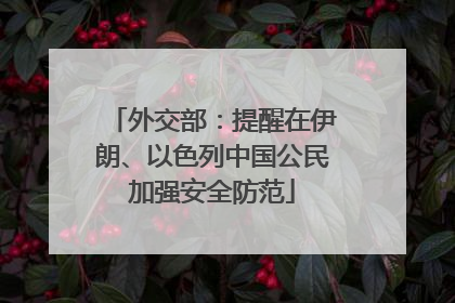 外交部：提醒在伊朗、以色列中国公民加强安全防范