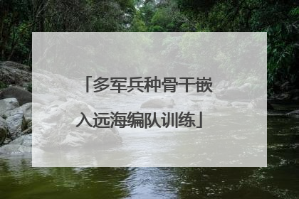 多军兵种骨干嵌入远海编队训练