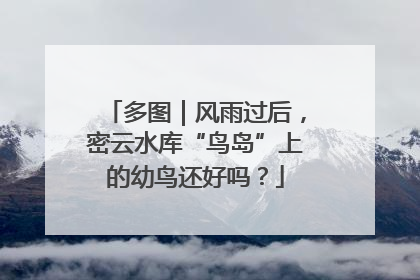多图｜风雨过后，密云水库“鸟岛”上的幼鸟还好吗？