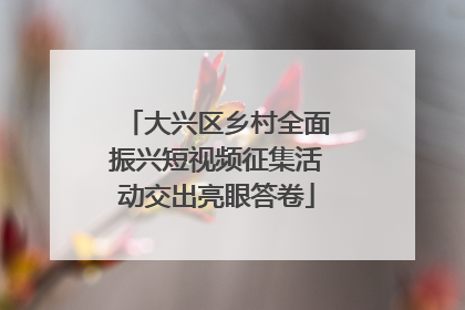大兴区乡村全面振兴短视频征集活动交出亮眼答卷