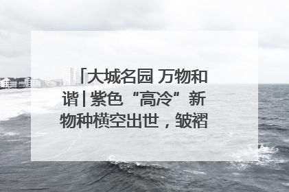 大城名园 万物和谐│紫色“高冷”新物种横空出世，皱褶叶片暗藏进化密码