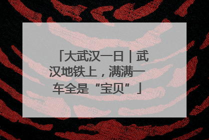 大武汉一日｜武汉地铁上，满满一车全是“宝贝”
