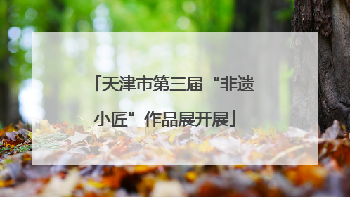 天津市第三届“非遗小匠”作品展开展