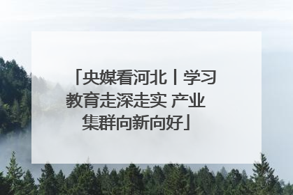 央媒看河北丨学习教育走深走实 产业集群向新向好