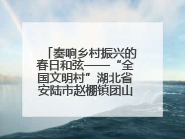 奏响乡村振兴的春日和弦——“全国文明村”湖北省安陆市赵棚镇团山村农文旅融合发展见闻