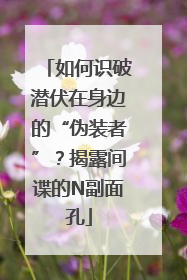 如何识破潜伏在身边的“伪装者”？揭露间谍的N副面孔