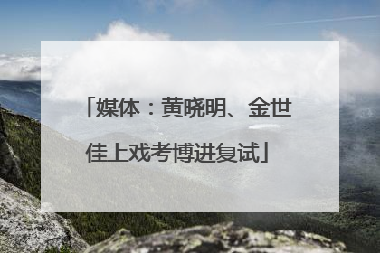 媒体：黄晓明、金世佳上戏考博进复试