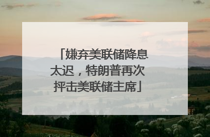 嫌弃美联储降息太迟，特朗普再次抨击美联储主席