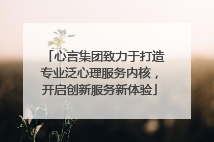 心言集团致力于打造专业泛心理服务内核，开启创新服务新体验