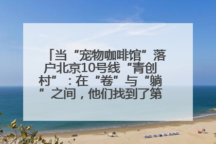 当“宠物咖啡馆”落户北京10号线“青创村”：在“卷”与“躺”之间，他们找到了第三种生活公式