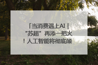 当消费遇上AI｜“苏超”再添一把火！人工智能将彻底颠覆绿茵场？
