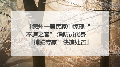 德州一居民家中惊现“不速之客” 消防员化身“捕蛇专家”快速处置