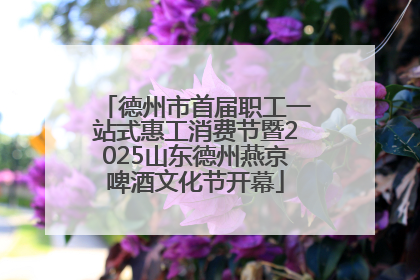 德州市首届职工一站式惠工消费节暨2025山东德州燕京啤酒文化节开幕