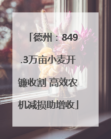 德州：849.3万亩小麦开镰收割 高效农机减损助增收