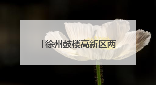 徐州鼓楼高新区两个10亿级重大产业项目顺利开工