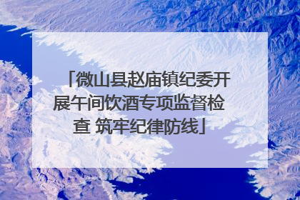 微山县赵庙镇纪委开展午间饮酒专项监督检查 筑牢纪律防线