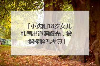 小沈阳18岁女儿韩国出道照曝光，被指撞脸孔孝真