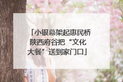 小银幕架起惠民桥 陕西府谷把“文化大餐”送到家门口