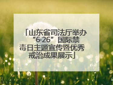 山东省司法厅举办“6·26”国际禁毒日主题宣传暨优秀戒治成果展示
