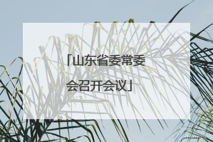 山东省委常委会召开会议