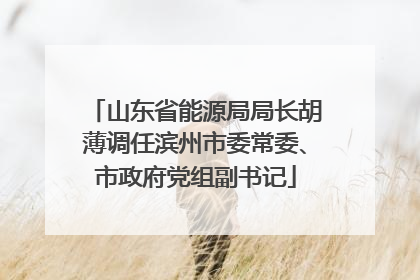 山东省能源局局长胡薄调任滨州市委常委、市政府党组副书记