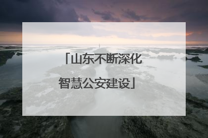 山东不断深化智慧公安建设