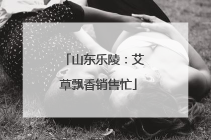 山东乐陵：艾草飘香销售忙
