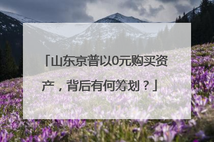 山东京普以0元购买资产，背后有何筹划？