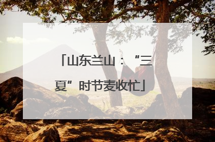 山东兰山：“三夏”时节麦收忙