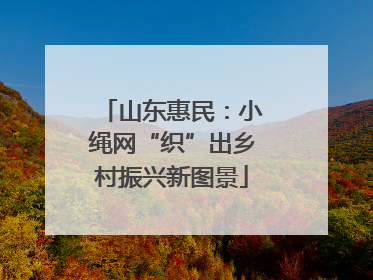 山东惠民：小绳网“织”出乡村振兴新图景