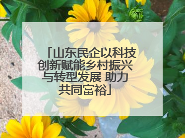 山东民企以科技创新赋能乡村振兴与转型发展 助力共同富裕