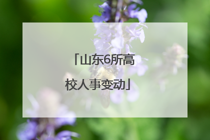山东6所高校人事变动