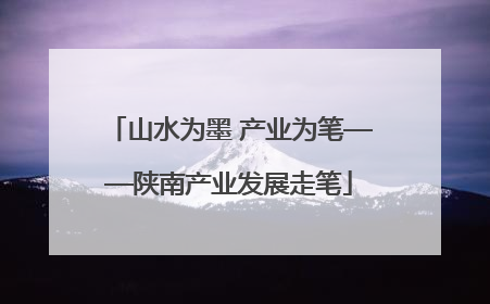 山水为墨 产业为笔——陕南产业发展走笔