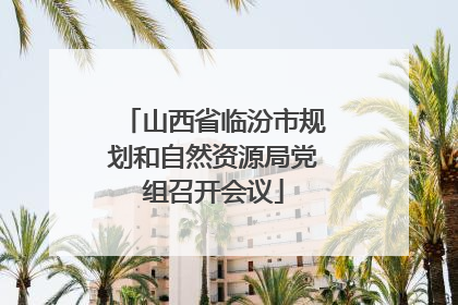 山西省临汾市规划和自然资源局党组召开会议