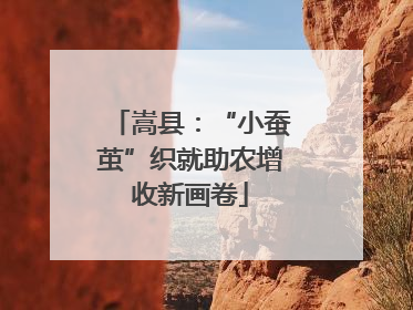 嵩县：“小蚕茧”织就助农增收新画卷