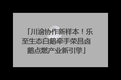 川渝协作新样本！乐至生态白鹅牵手荣昌卤鹅点燃产业新引擎