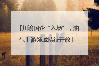 川渝国企“入场”，油气上游领域持续开放