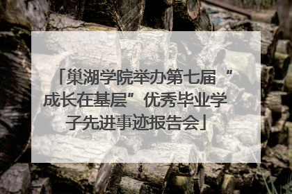 巢湖学院举办第七届“成长在基层”优秀毕业学子先进事迹报告会