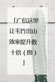 广信这里让毛竹出山效率提升数十倍（图）
